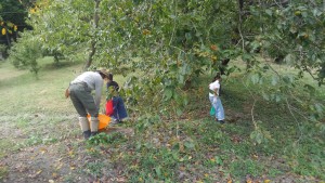 「栗ひろいへおいで～」